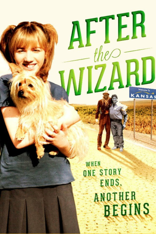 After the Wizard (2011) poster