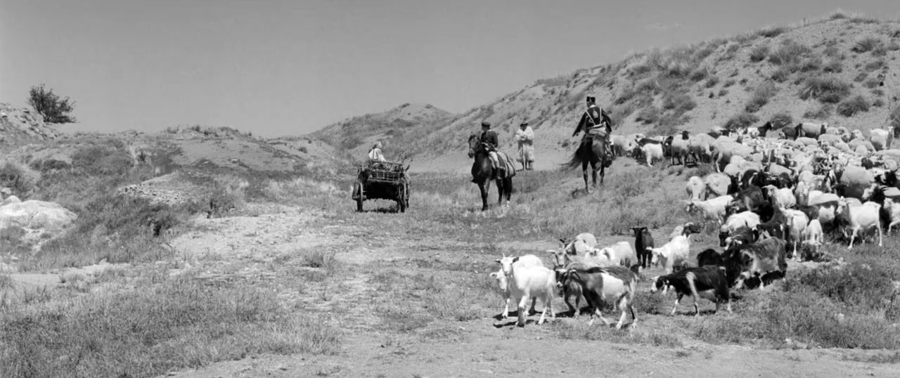 Aferim! screenshot 3