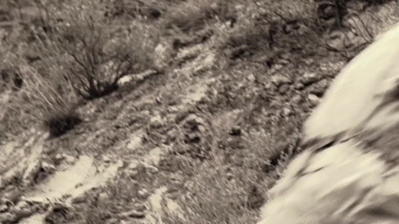 Afghan Knights screenshot 3