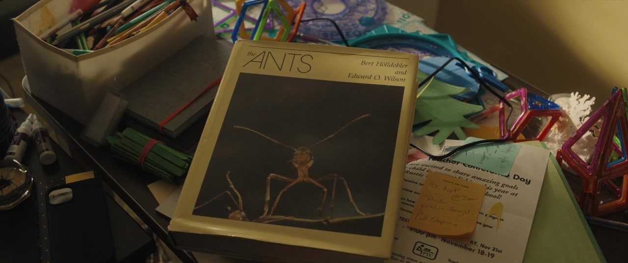 AfrAId screenshot 2