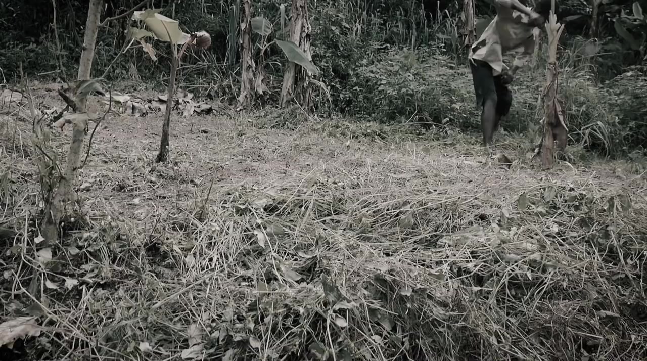 African Kung-Fu Nazis screenshot 1