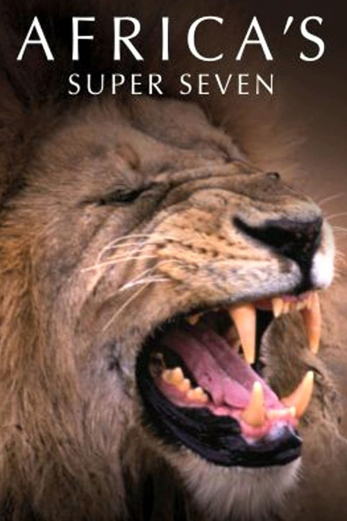 Africa's Super Seven (2005) poster