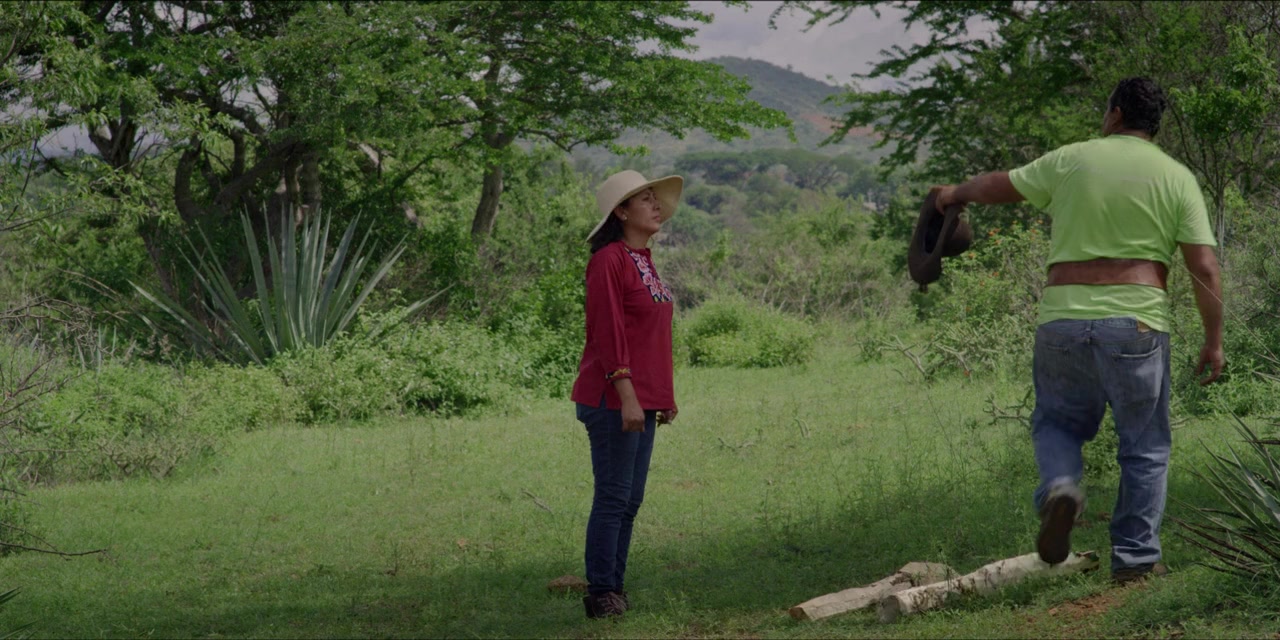 Agave: The Spirit of a Nation screenshot 1