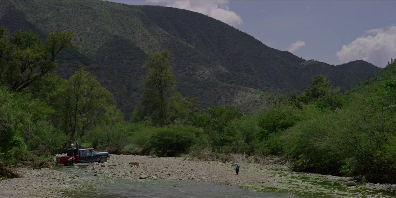 Agave: The Spirit of a Nation screenshot 2