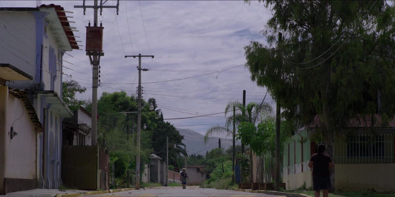 Agave: The Spirit of a Nation screenshot 3