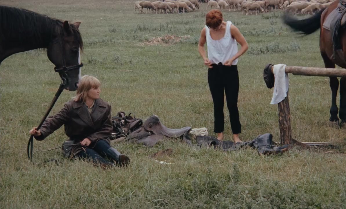 Égi bárány screenshot 1