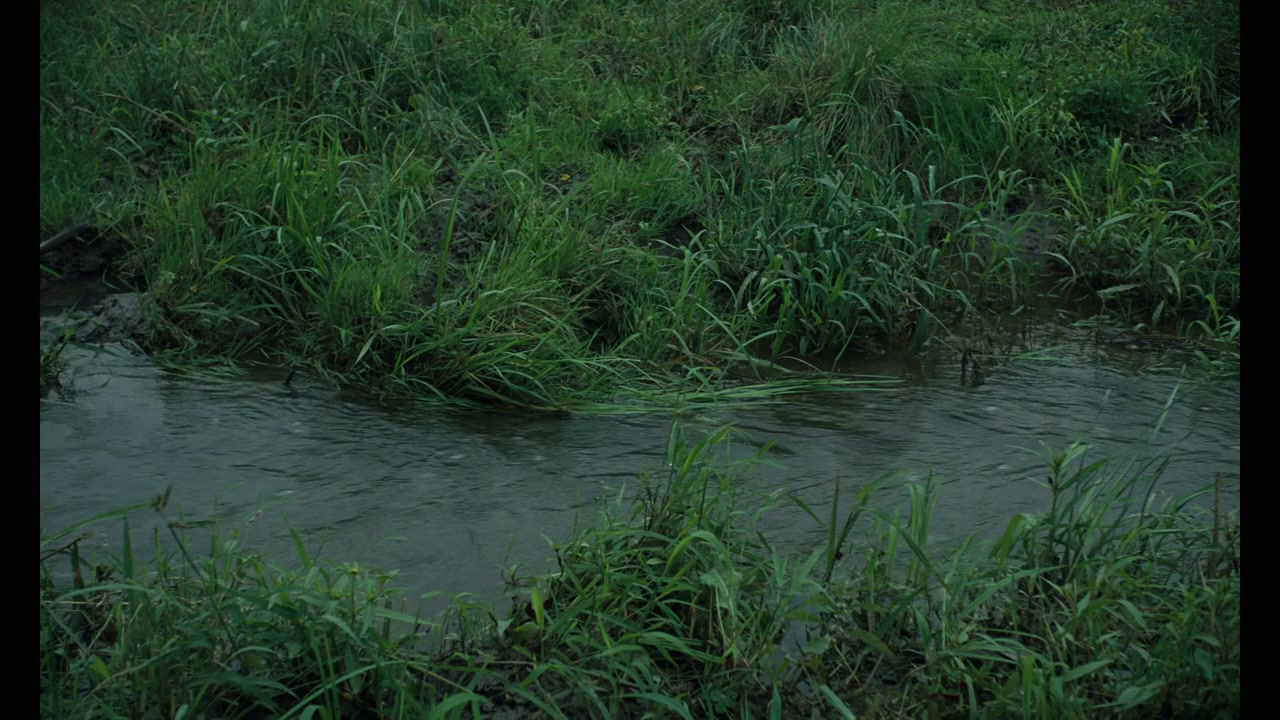 Ailleurs la nuit screenshot 3
