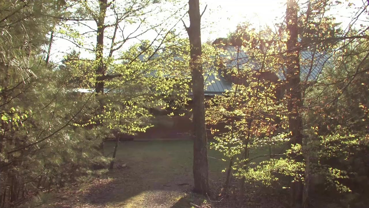Ain't in It for My Health: A Film About Levon Helm screenshot 1