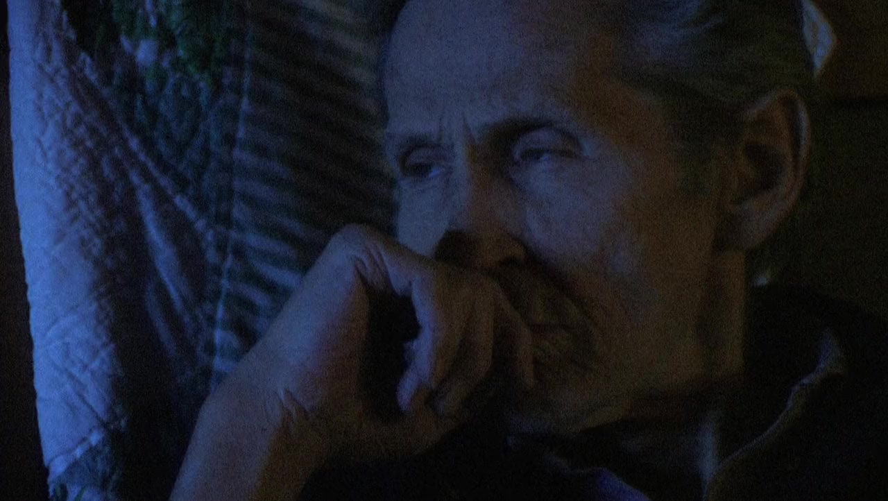 Ain't in It for My Health: A Film About Levon Helm screenshot 3