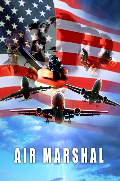 Air Marshal (2003) poster
