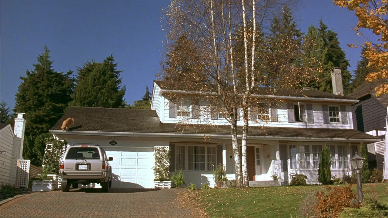 Air Bud: Golden Receiver screenshot 1