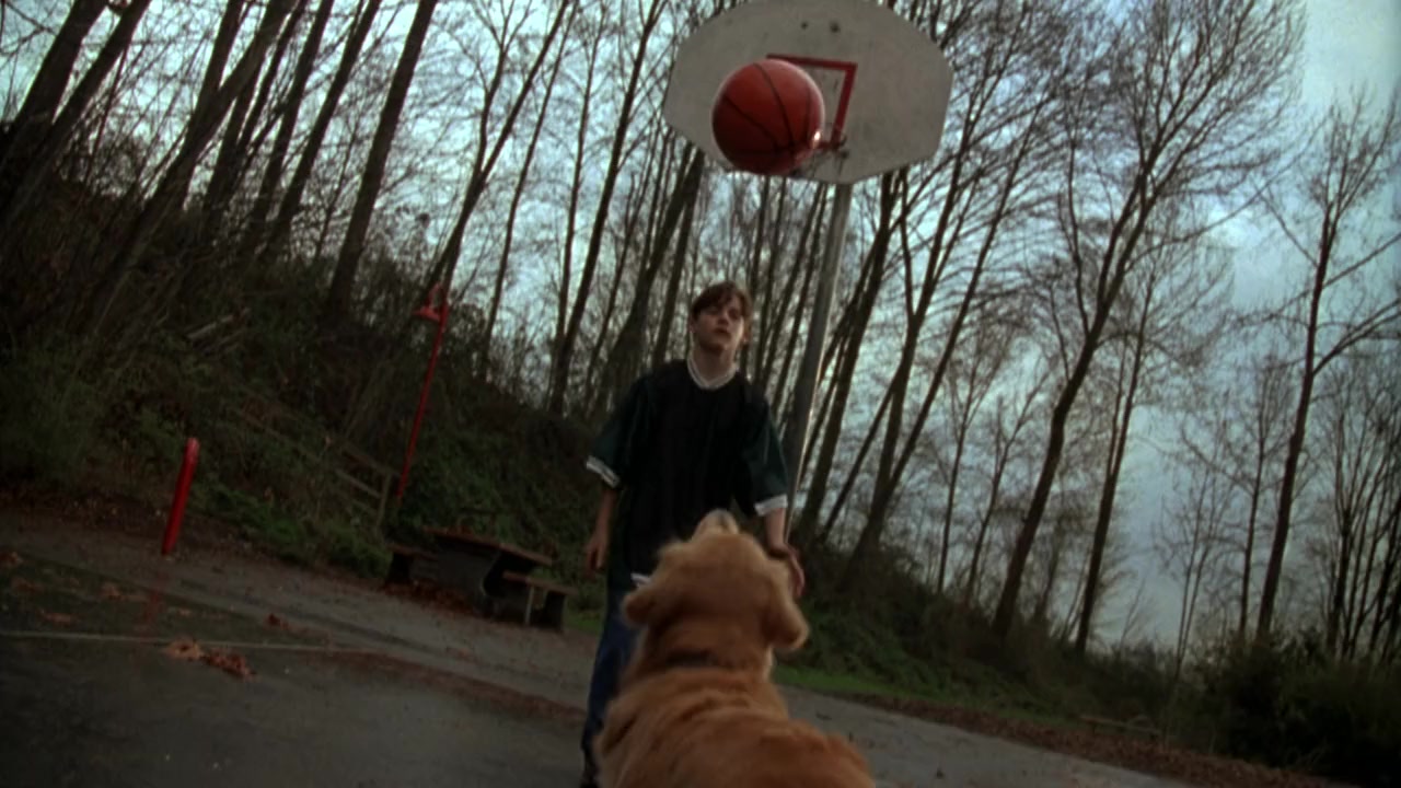 Air Bud: Golden Receiver screenshot 2
