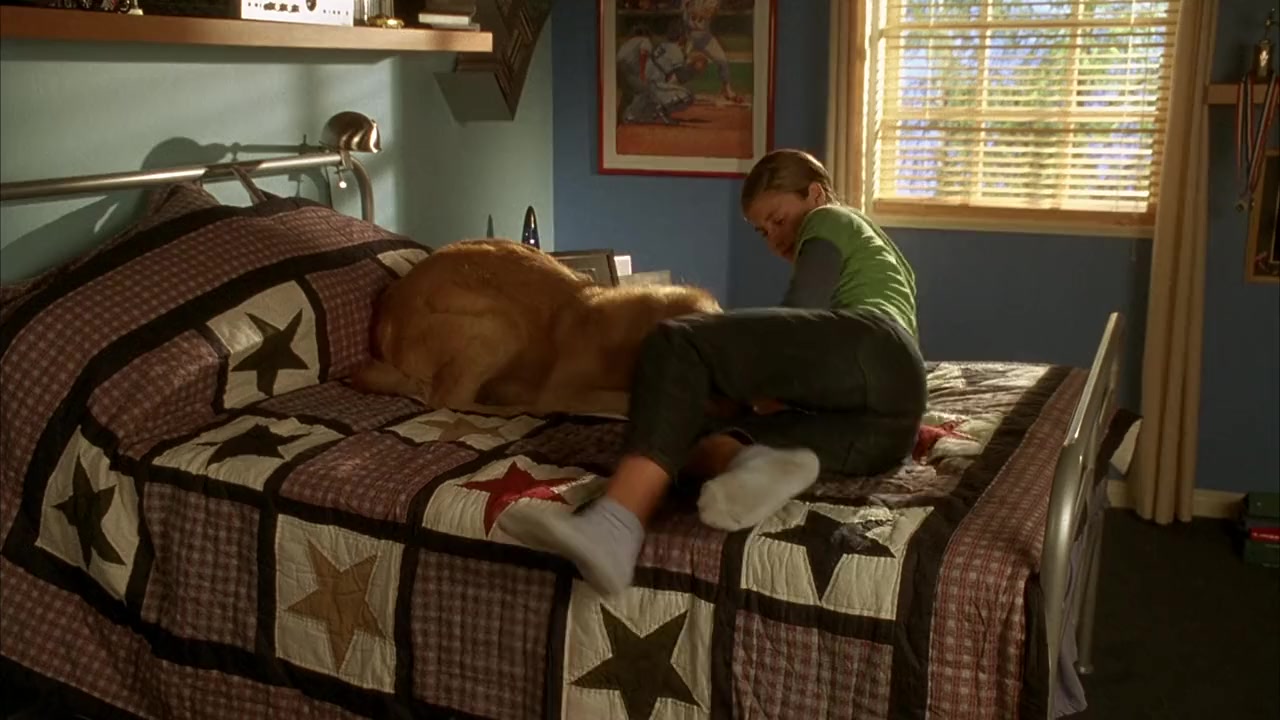 Air Bud: Seventh Inning Fetch screenshot 3