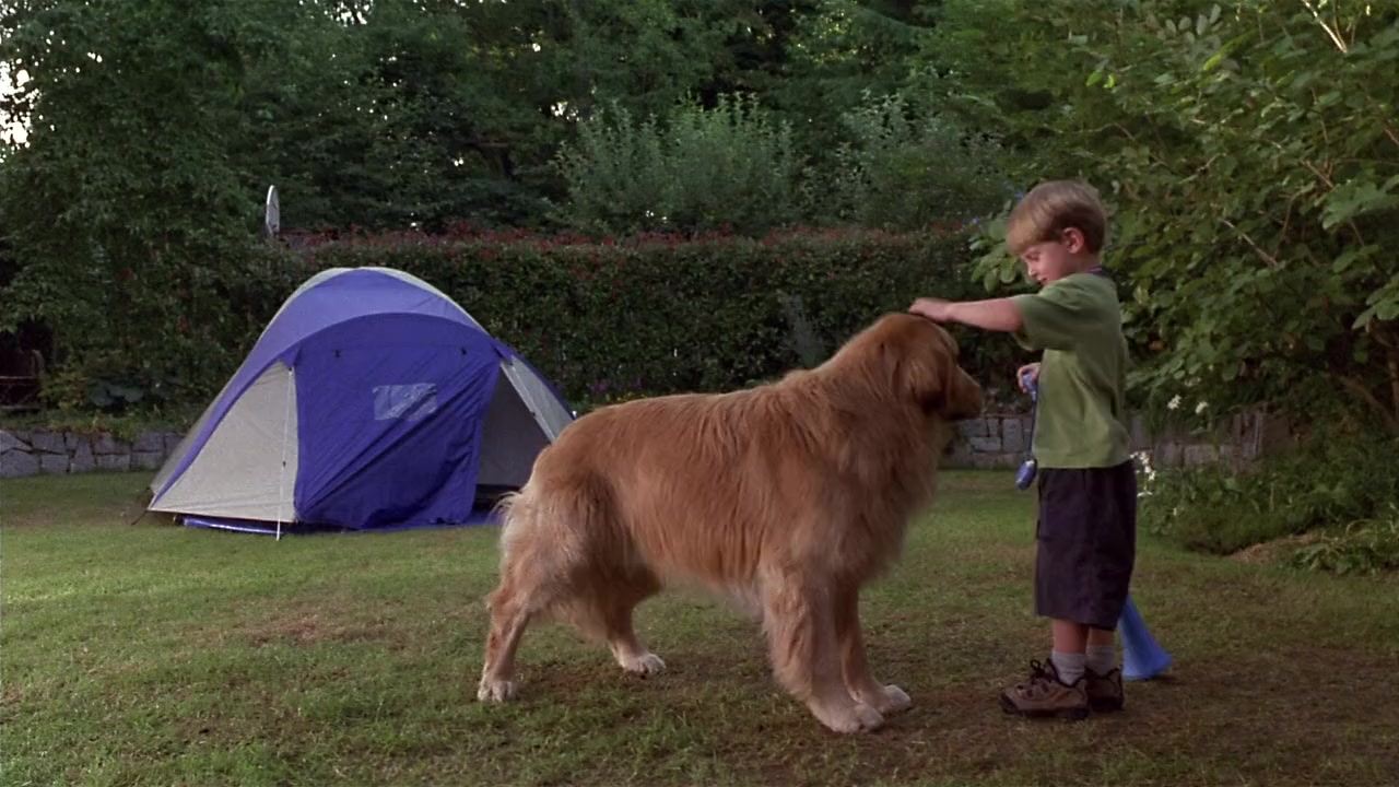 Air Bud: Spikes Back screenshot 3