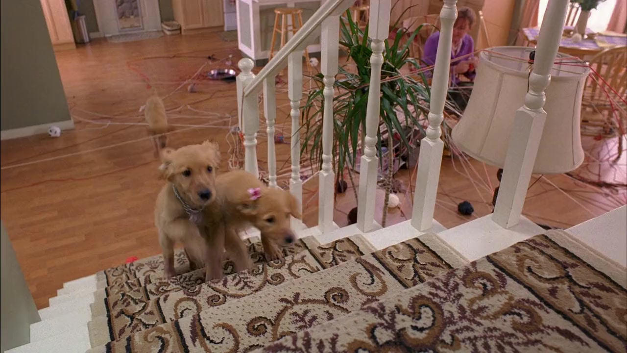 Air Buddies screenshot 2