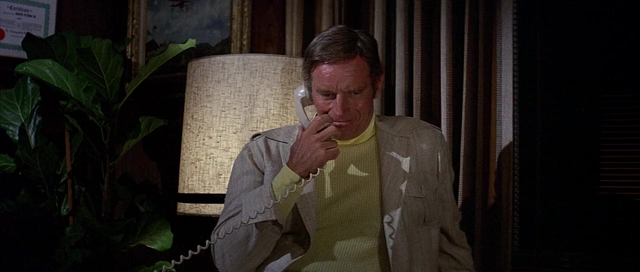 Airport 1975 screenshot 1