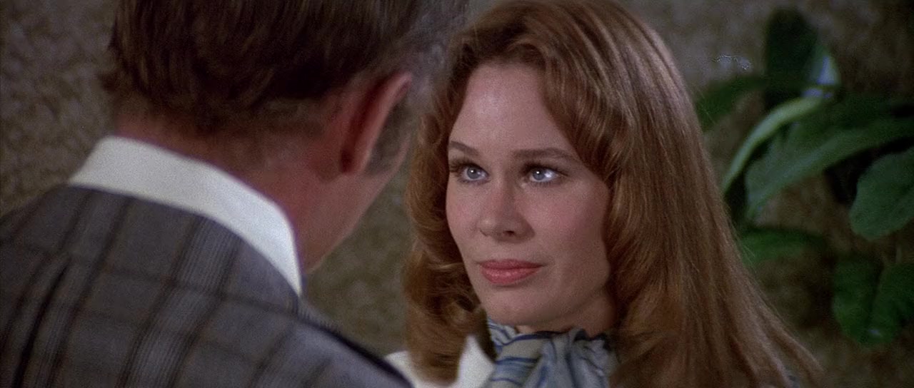 Airport 1975 screenshot 3
