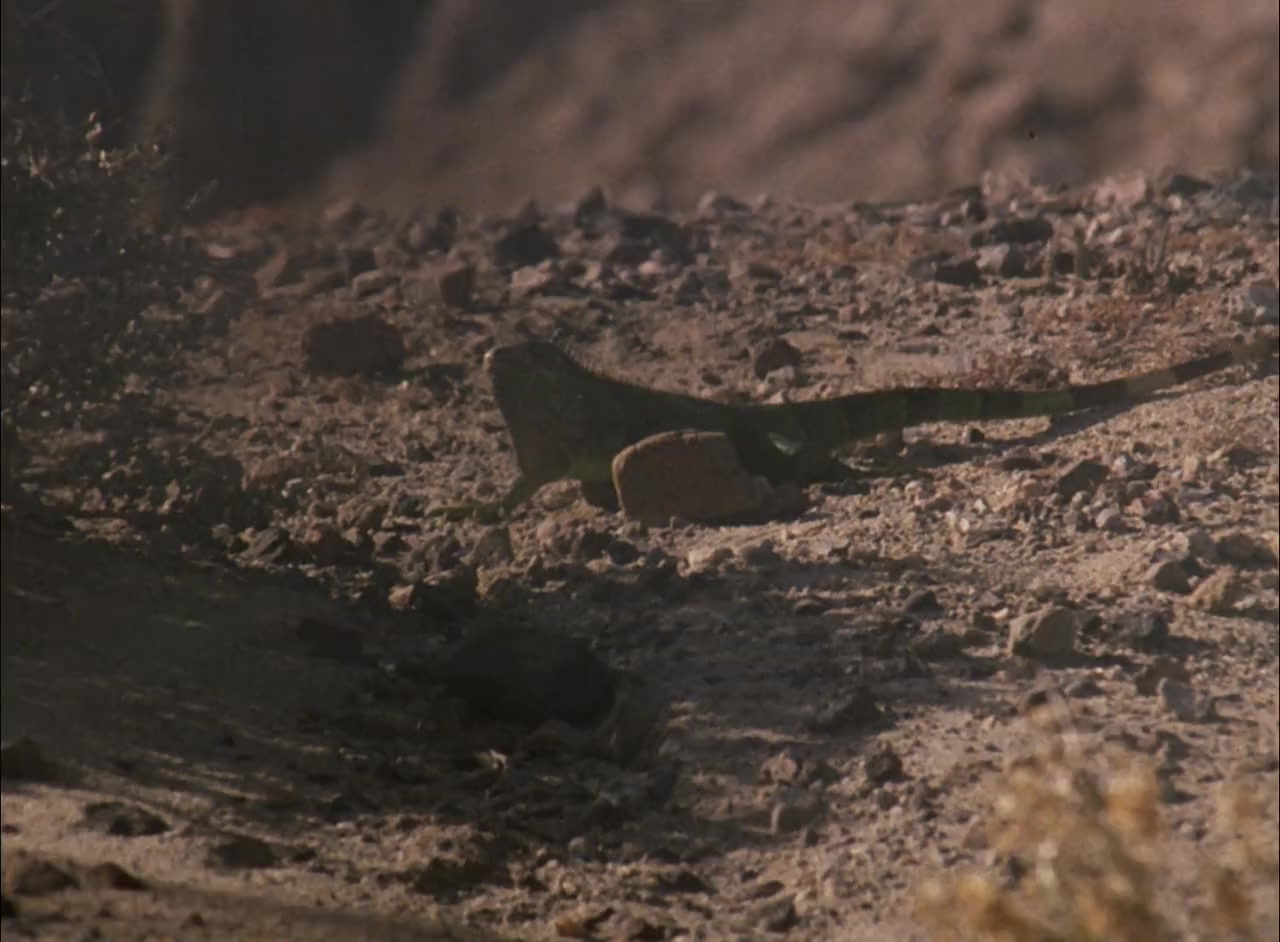 Airwolf screenshot 2