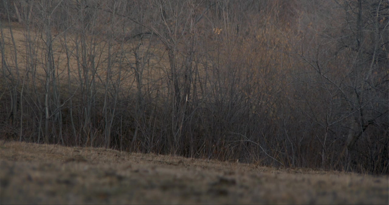 Alt Love Building screenshot 3