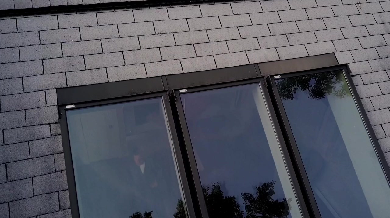 Alter Ego screenshot 2