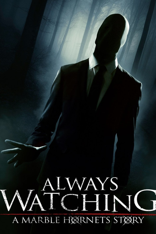 Always Watching: A Marble Hornets Story (2015) poster
