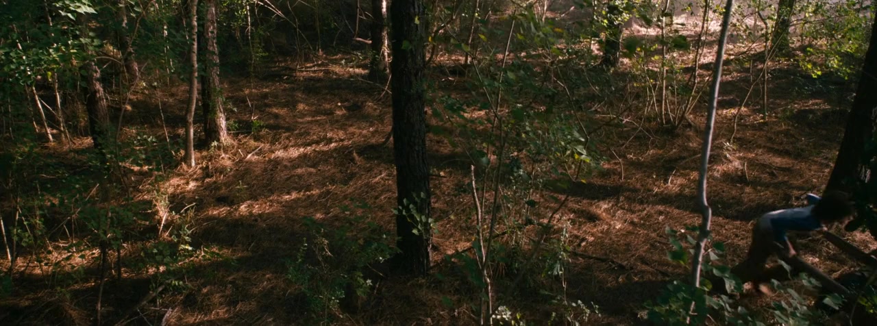 Alabama Moon screenshot 3