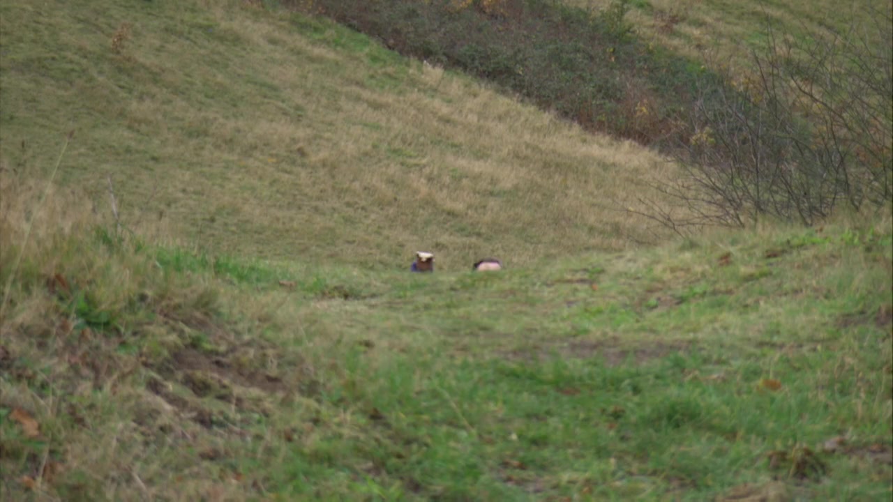 Alan Partridge: Welcome to the Places of My Life screenshot 2