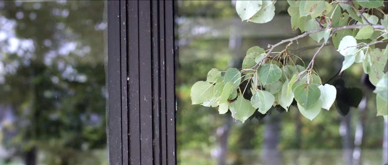 Algonquin screenshot 2