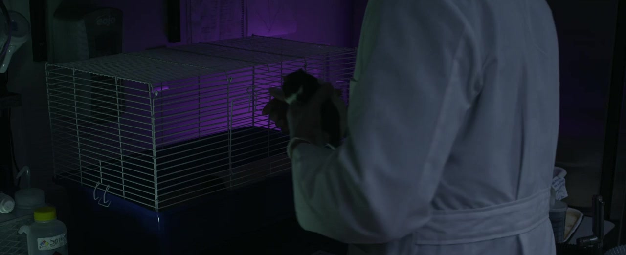 Algorithm: Bliss screenshot 3