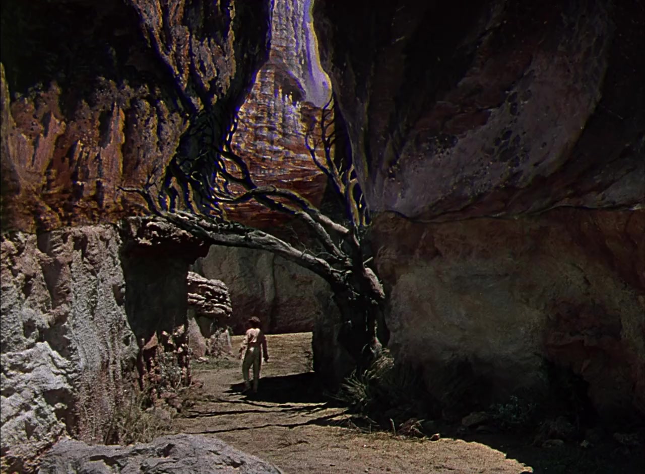 Ali Baba and the Forty Thieves screenshot 1