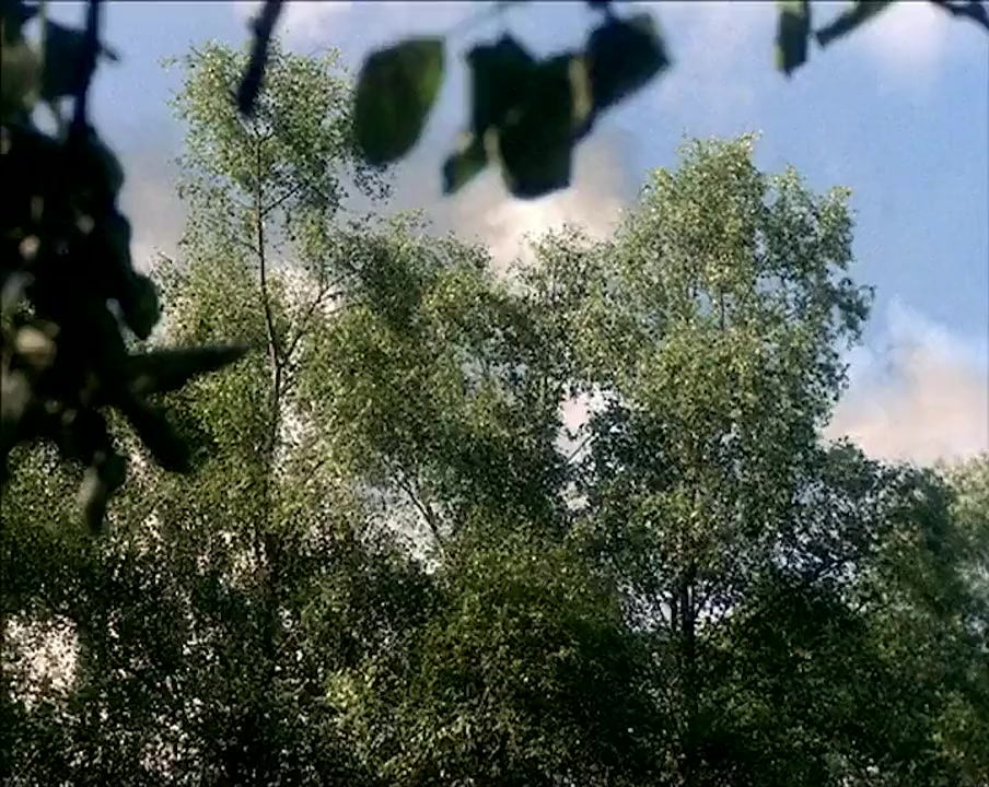 Alice in Wonderland screenshot 1