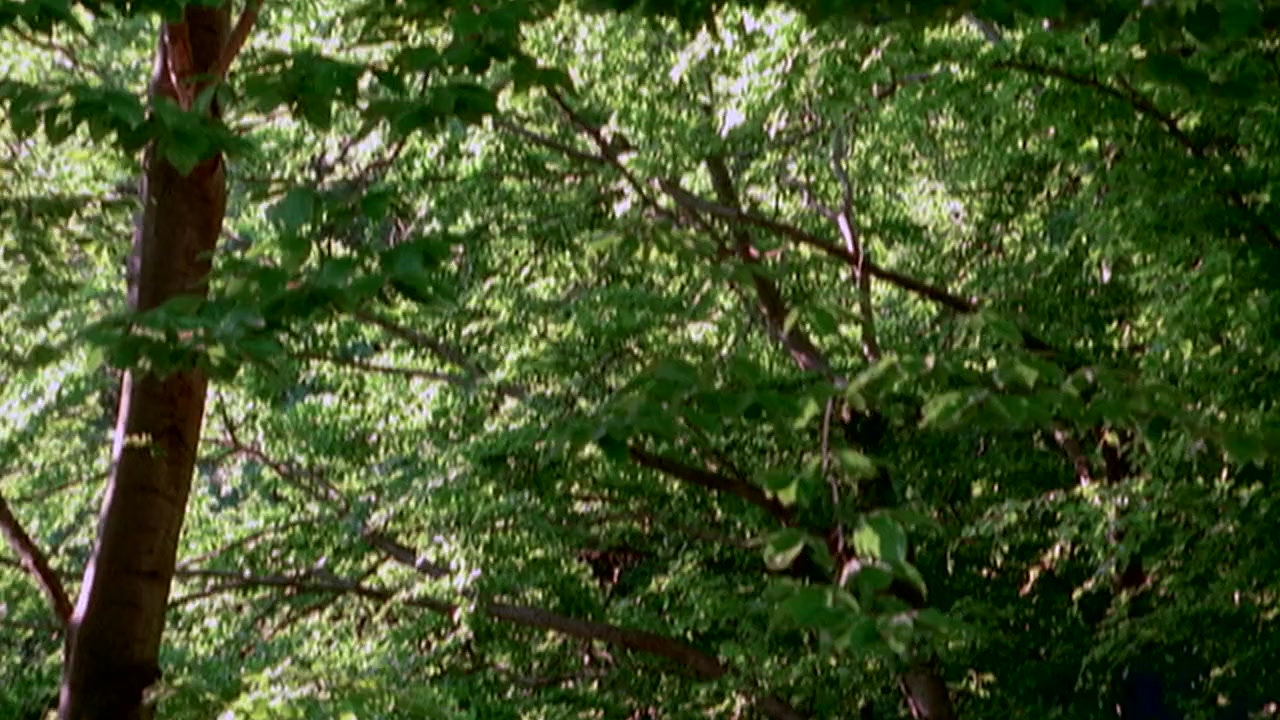 Alien Apocalypse screenshot 1