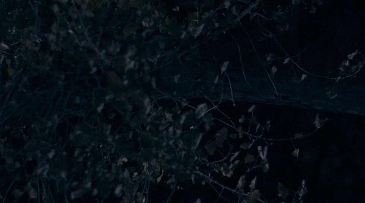 Alien Domicile 2: Lot 24 screenshot 1