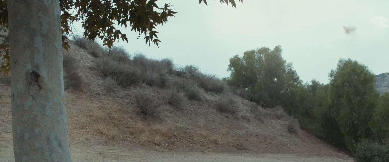 Alien Planet screenshot 2