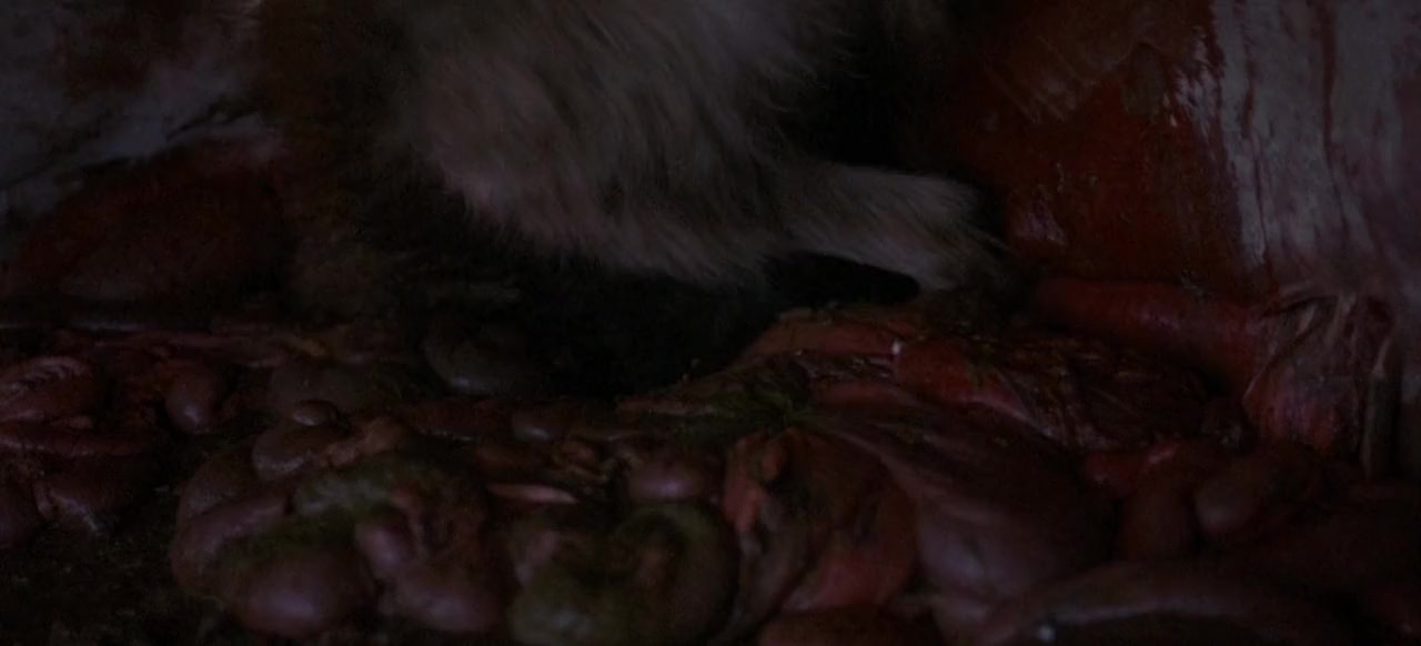 Alien Predator screenshot 3