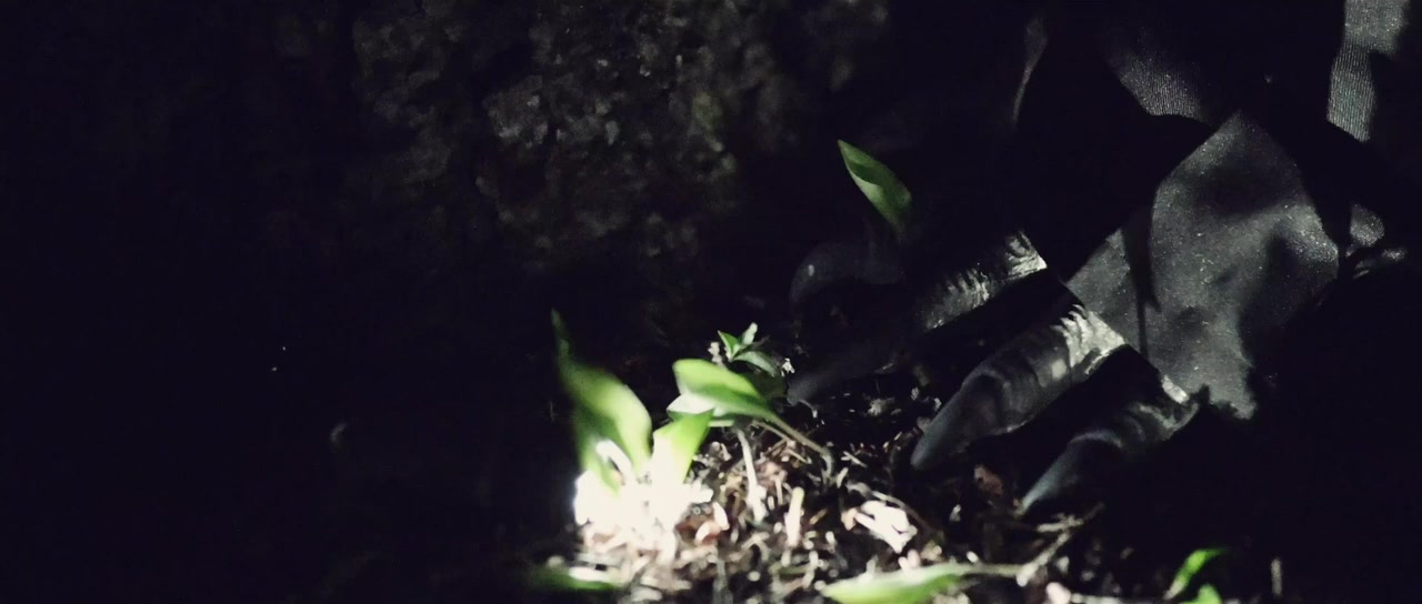 Alien Whispers screenshot 3