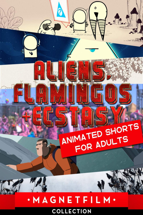 Aliens, Flamingos & Ecstasy (2019) poster