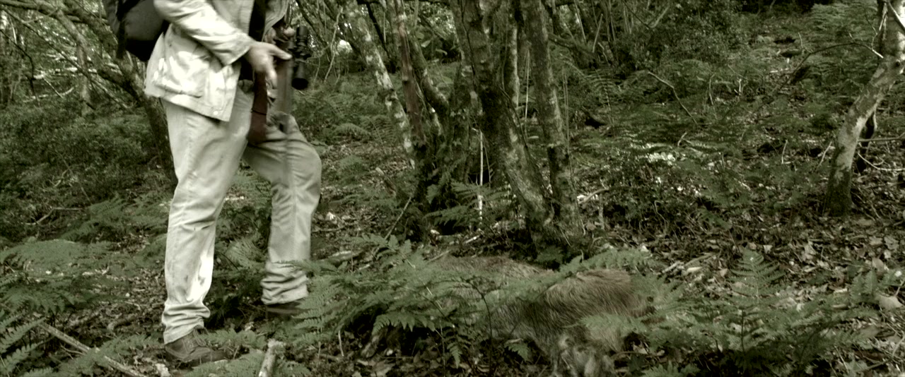 Alive screenshot 3