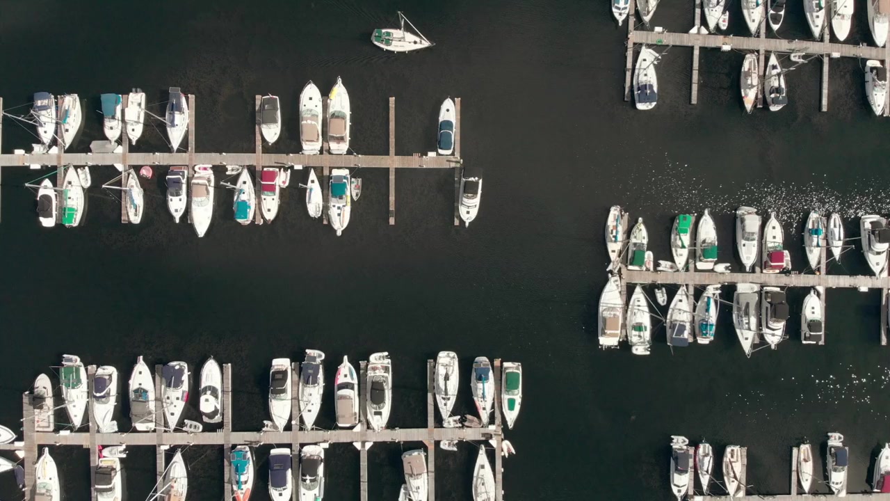 All Aboard for Love screenshot 1