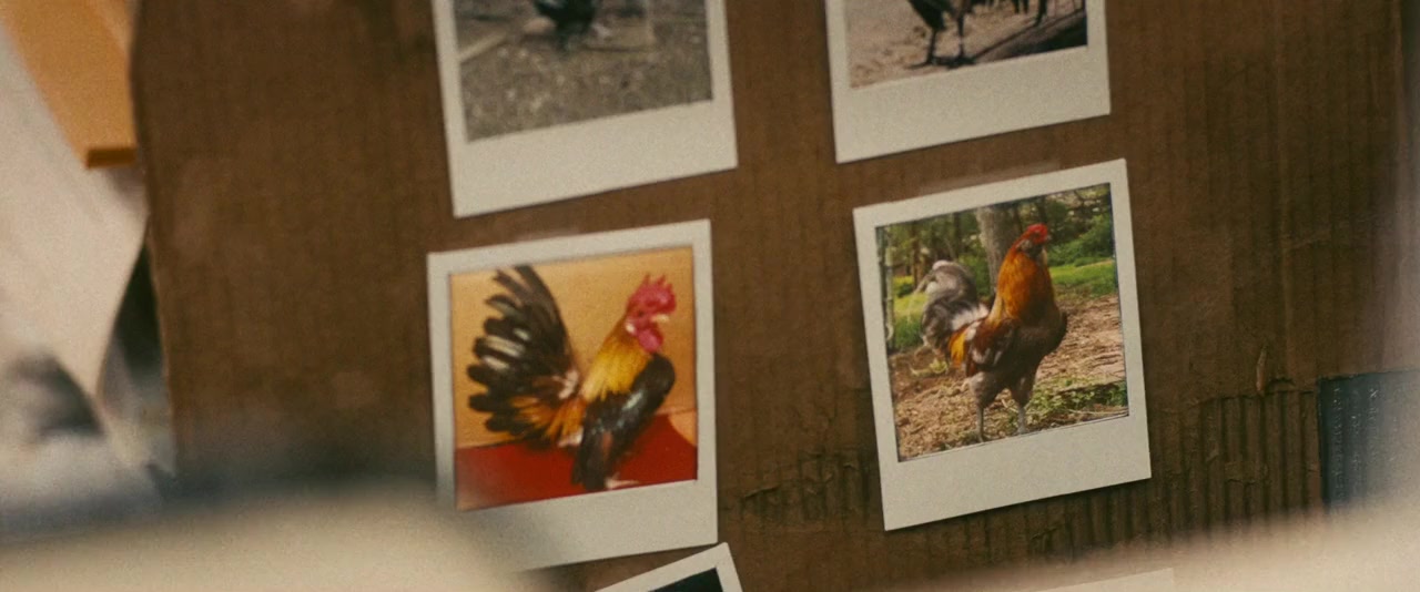 All Creatures Here Below screenshot 3