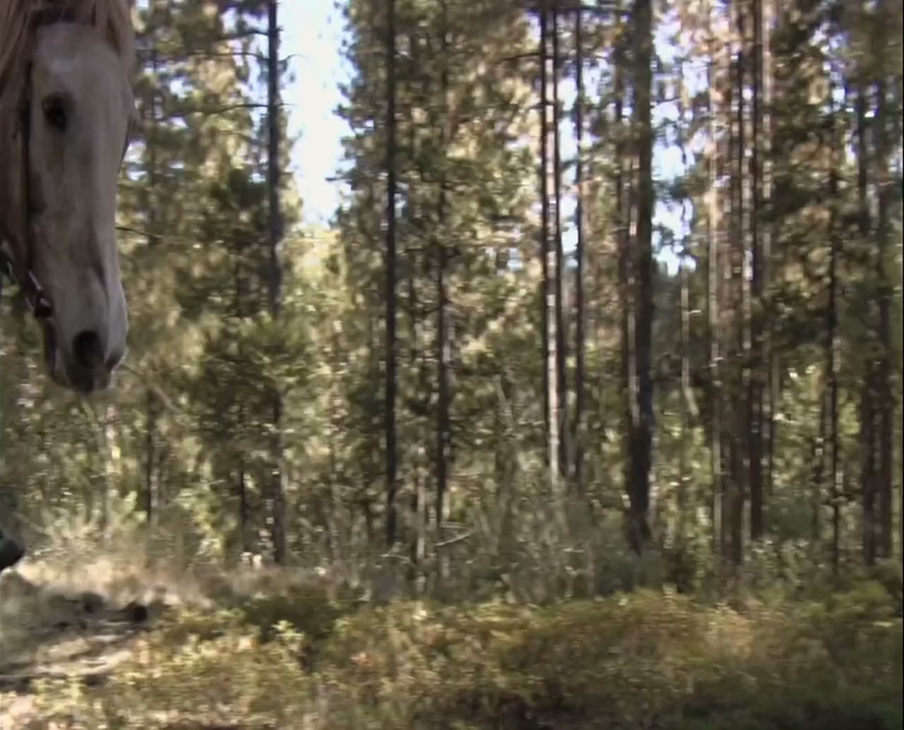 All Hell Broke Loose screenshot 2