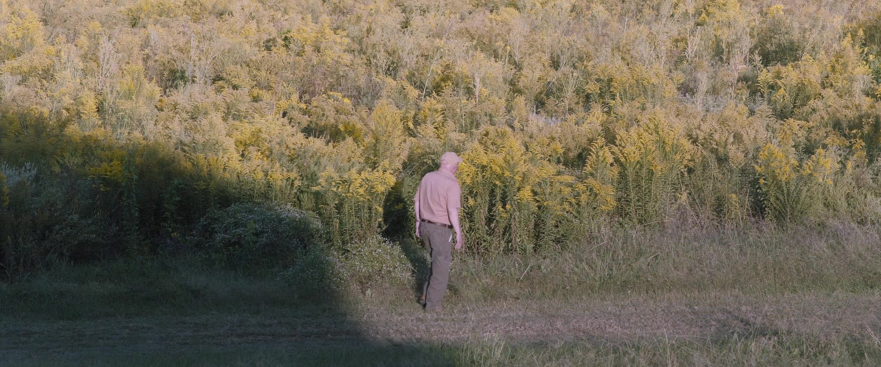 All Saints screenshot 1