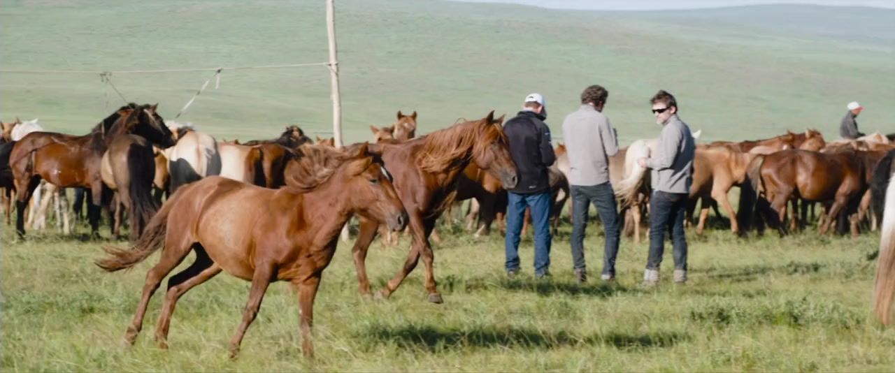 All the Wild Horses screenshot 3