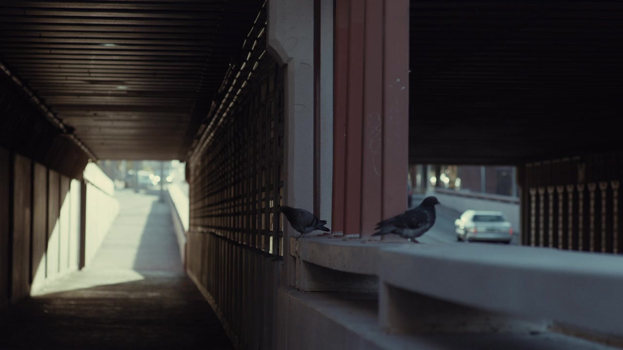 All the World Is Sleeping screenshot 3