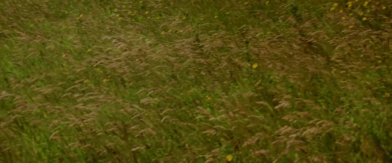 All the Little Animals screenshot 3