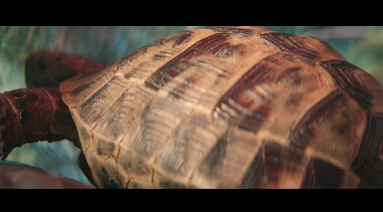 All You Need Is Blood screenshot 2