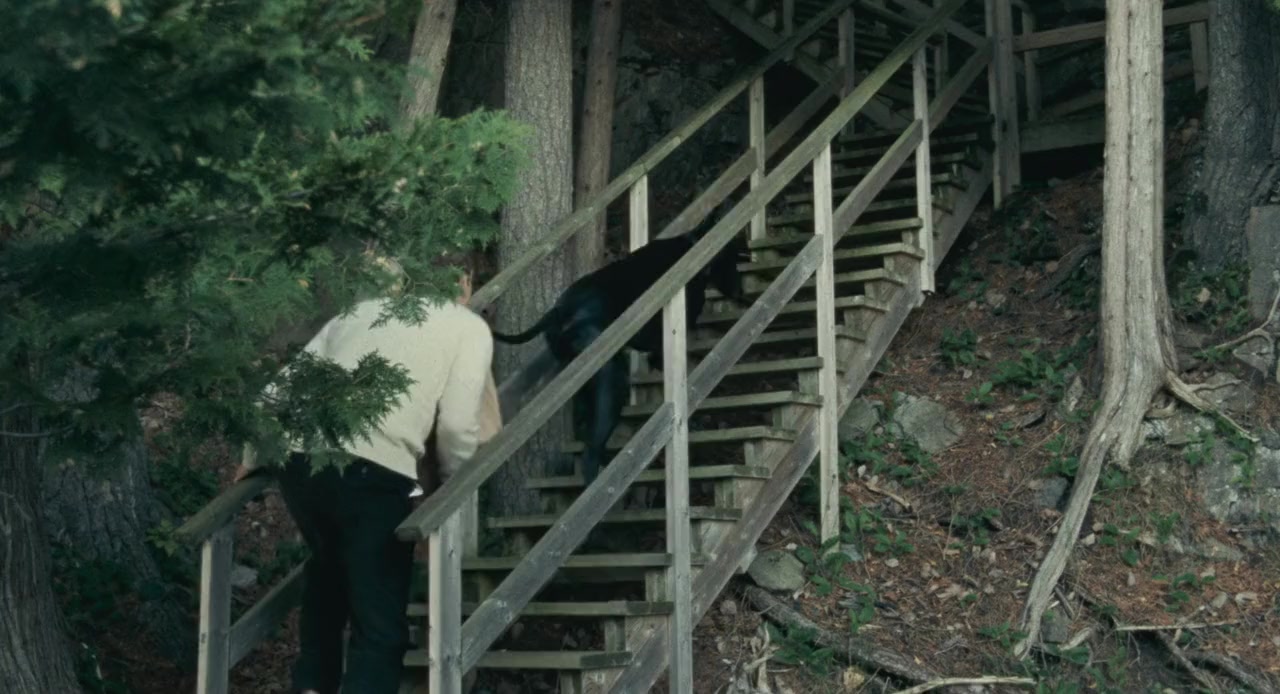 Allen Sunshine screenshot 2
