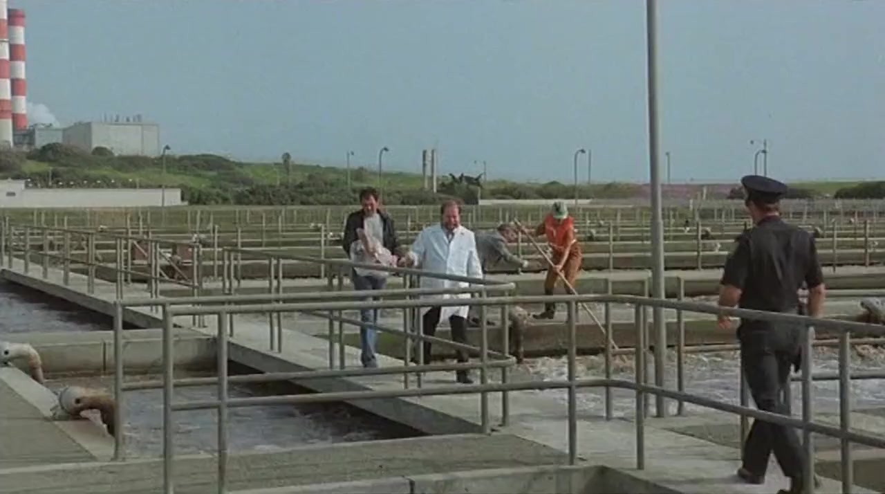 Alligator screenshot 2