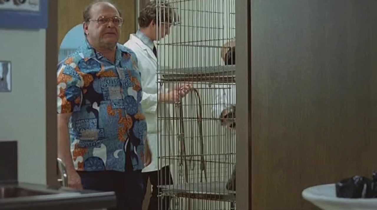 Alligator screenshot 3