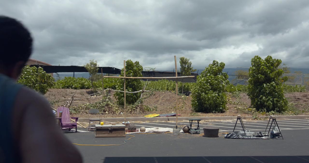 Aloha Surf Hotel screenshot 3